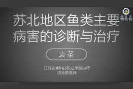 鳃出血，鲤鱼疱疹病毒病，竖鳞等苏北常见鱼病的诊断与治疗图片