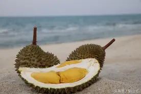 榴莲控不能不知道的知识图片