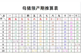 人需怀胎十月，你知道母猪怀胎多久生小猪吗？图片