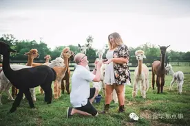 小动物教你怎样实力抢镜图片