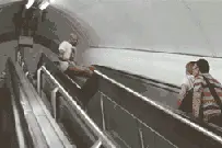 笑死我了，我就喜欢看你装逼失败的样子图片