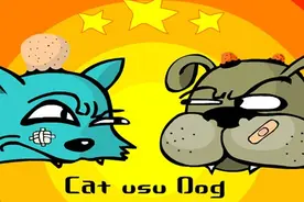 又养狗又养猫你这是要炸翻天！天啦噜！这竟然也可以...图片