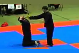 国外高手表演李小龙截拳道，夺枪术、双节棍、侧踢！图片