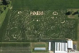 纽约农场变身“马里奥兄弟”玉米迷宫图片