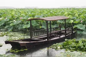 记得当时年纪小，你爱谈天我爱笑，不知怎么睡着了，梦里花落知多图片