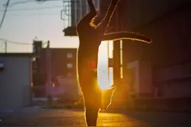 摄影师镜头下的猫咪黄昏打架...跳舞，打架不如跳舞！图片