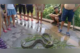 鱼塘挖到异物都说是木头，只有他自己坚信是挖到宝！图片