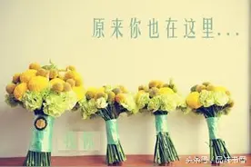 噢，你也在这里吗？图片