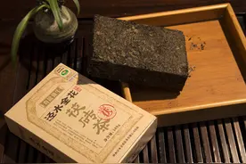 泾阳茯茶中的黄金——金花图片