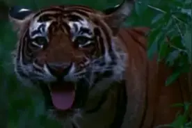 快手的拍摄技巧，你偏偏来拍电影视频封面