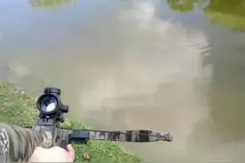发现水里有动静，迅速射了一箭，这箭法神了！图片