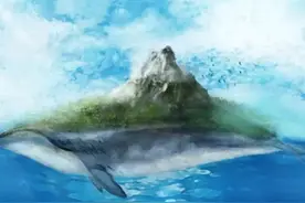 我是只化身孤岛的蓝鲸，我愿化身鲸落，陪伴深海里渺小的你图片