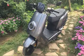 更成熟的小牛N1S，飙高价格开启“出海模式”图片