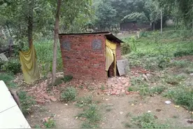 80后农村小孩都干过的糗事，现在看着自己都想笑图片