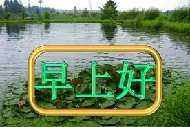 在微信家族群里聊天，你只适合发这些表情包。图片