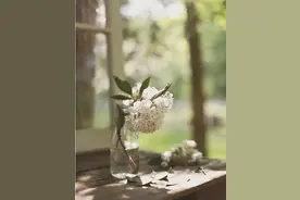 人生没有下辈子，不枉此生最珍贵图片