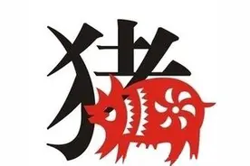 猪人一生的大运、坎坷和寿数图片