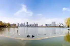 截止8.16，合肥天鹅湖至少吞噬了67人 网友：该整顿了！图片