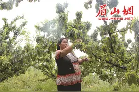 有一种美丽叫高温下的坚守图片