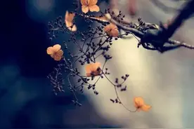 你对我的好，我知道图片