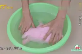 这样洗毛绒玩具，干净不变形，方法简单又实用，赶紧收藏吧！
