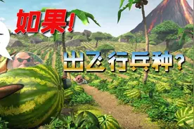 如果海岛奇兵出飞机或飞行兵种？图片