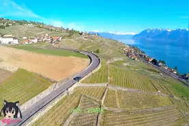 一首伤感唯美的背景音乐，岩崎琢的一首动人有故事的音乐