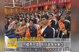 人社惠民政策进万家劳模有困难帮扶政策来解忧视频封面