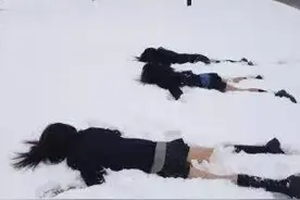 大寒天 有一种光大腿的抗冻生物 叫做樱花妹图片