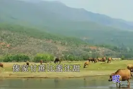 云南好听山歌《茶山情歌》山对山来岩对岩！图片