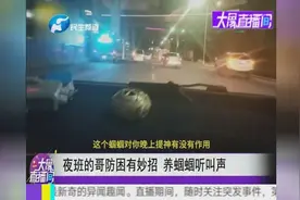 夜班的哥防困有妙招 养蝈蝈听叫声