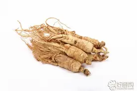 人参的功效作用和食用方法图片