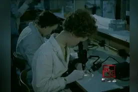 1959年第一台电子计算机诞生，计算机正在改变人类的命运