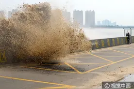 杭州：农历七月十七，钱塘江潮拍岸掀浪气势惊人图片