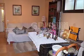 西班牙房产成投资首选，山间花园别墅价几何？图片