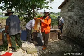 带你走进现场，原来蜂蜜是这样采的图片