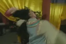 蒙面人深夜刺杀皇帝，没想到皇帝武功高强一人打败所有蒙面人视频封面