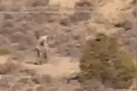 葡萄牙沙漠惊现神秘人型生物图片