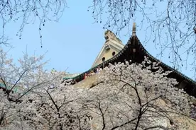 中国的大学的简称，你被绕晕了吗？图片