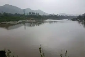 8月20号的黄岛区大雨 冲毁河坝树木沟满河平 也是钓鱼好时候图片