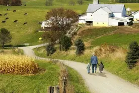 绿忆：我从小做一个梦，梦见长了好多好多树，叶子随风沙沙作响图片