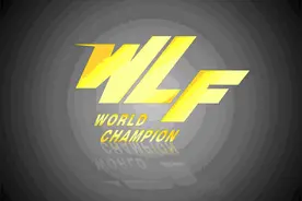 附：WLF世界搏击理事会第二届会员代表大会图片