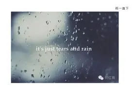 何红雨 ｜ 雨一直下图片