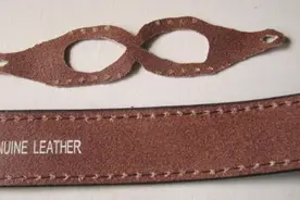 爬行宠物之鬣蜥蜴牵引绳制作图片