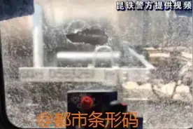 熊孩子扔石头砸碎火车车窗  逼停火车25分钟损失上万元图片