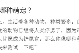 你像哪种萌宠？图片