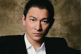 将天王刘德华演唱的543首歌曲连起来组成一篇文，你读过吗？图片