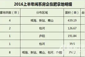 “壕”气冲天!4家闽系房企合肥造6地王 耗资139亿图片