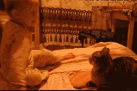 看惯了猫狗大战，有没有见过猫狗相亲相爱呢~~图片