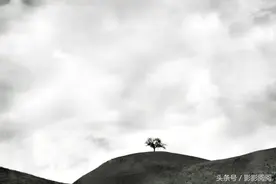 陈奕迅到底唱哭了多少人图片